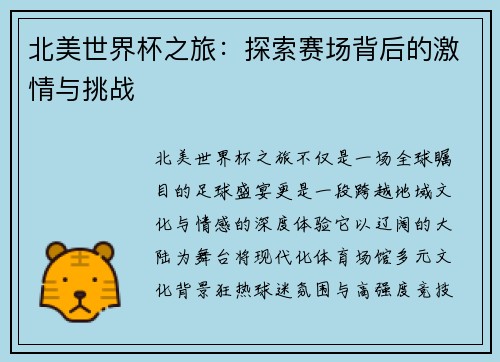 北美世界杯之旅：探索赛场背后的激情与挑战